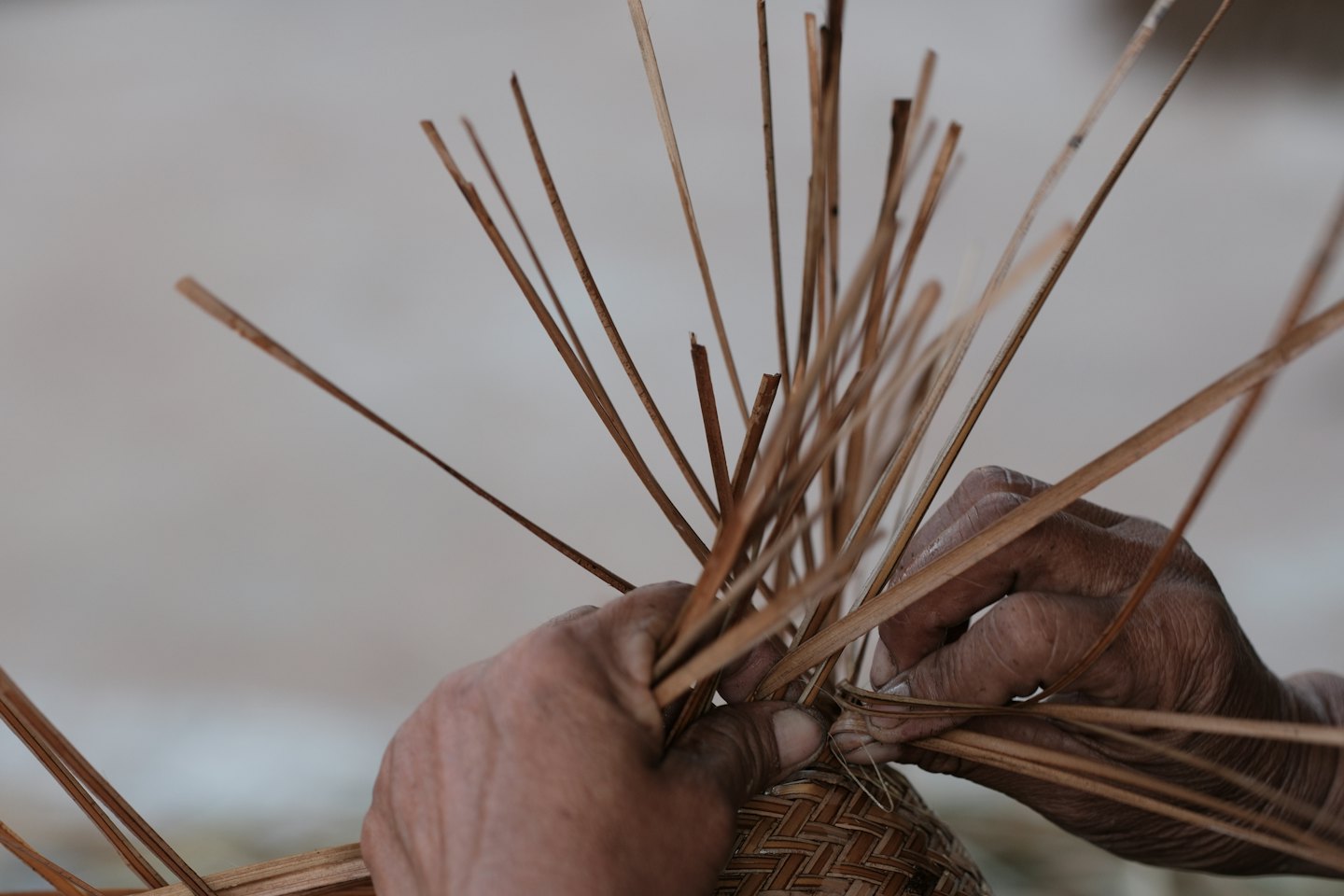 Hands carefully weave thin brown reeds into a basket.